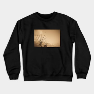 Still Here Crewneck Sweatshirt